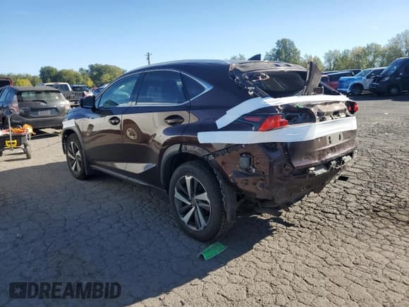 ✅ 2019 Lexus NX 300 • VIN: JTJBARBZ7K2201520 • Лот: 82624925. Опубликован ранее на Copart с пробегом 37 575 миль. Бесплатный доступ к архиву аукционных продаж из США и подробный отчёт об истории автомобиля на DreamBid. Изображение 2.
