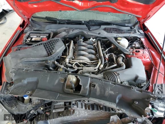 ✅ 2021 Ford Mustang GT Premium • VIN: 1FA6P8CF4M5138966 • Lot: 68619285. Wystawiony na Copart z przebiegiem 49 975 mil. Bezpłatny archiwum sprzedaży aukcyjnych z USA i szczegółowy raport historii pojazdu na DreamBid. Zdjęcie 11.