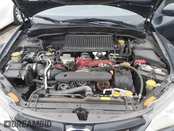 ✅ 2013 Subaru WRX WRX STI Limited • VIN: JF1GV8J61DL018566 • Lot: 43774166. Wystawiony na IAAI z przebiegiem 74 016 mil. Bezpłatny archiwum sprzedaży aukcyjnych z USA i szczegółowy raport historii pojazdu na DreamBid. Zdjęcie 10.