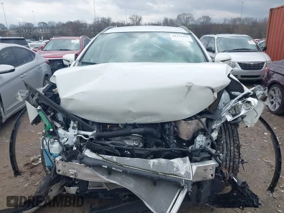 ✅ 2017 Nissan Murano Platinum • VIN: 5N1AZ2MH9HN119004 • Lot: 41472336. Listed on IAAI with Not provided. Free auction sales archive from the USA and detailed vehicle history report at DreamBid. Image 12.