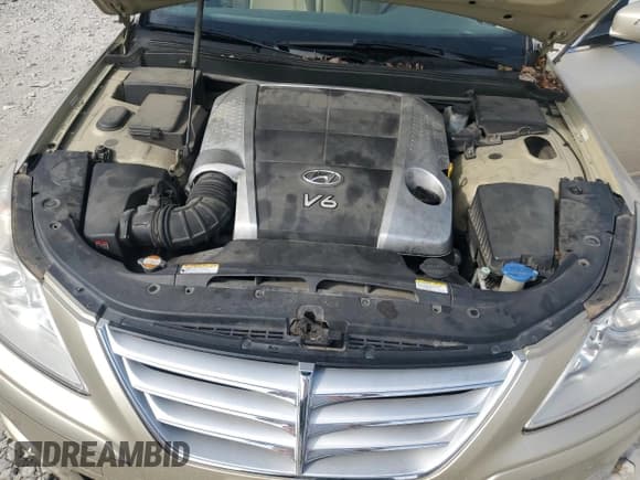 ✅ 2010 Hyundai Genesis • VIN: KMHGC4DE2AU085951 • Lot: 86224805. Wystawiony na Copart z przebiegiem 167 520 mil. Bezpłatny archiwum sprzedaży aukcyjnych z USA i szczegółowy raport historii pojazdu na DreamBid. Zdjęcie 11.