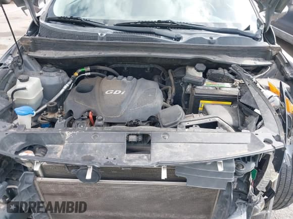 ✅ 2014 Kia Sportage EX • VIN: KNDPC3ACXE7574524 • Lot: 43397499. Listed on IAAI with 180,513 mi. Free auction sales archive from the USA and detailed vehicle history report at DreamBid. Image 10.