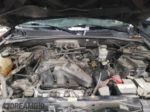 ✅ 2008 Ford Escape Limited • VIN: 1FMCU94108KC33395 • Лот: 92875005. Опубликован ранее на Copart с пробегом 145 617 миль. Бесплатный доступ к архиву аукционных продаж из США и подробный отчёт об истории автомобиля на DreamBid. Изображение 12.