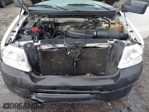 ✅ 2008 Ford F-150 STX • VIN: 1FTRX12W58FA48631 • Lot: 42962325. Listed on IAAI with 297,994 mi. Free auction sales archive from the USA and detailed vehicle history report at DreamBid. Image 10.