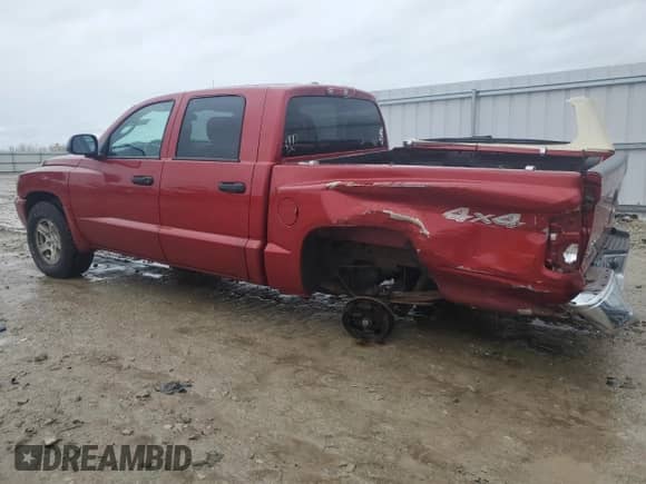 2006 Dodge Dakota SLT z VIN 1D7HW48N06S593435, wystawiony jako Copart lot #81148534 z przebiegiem 240 906 mil mil oraz Nie do naprawy • Non repairable. Historia ofert i sprzedaży dostępna na DreamBid. Obrazek 2.