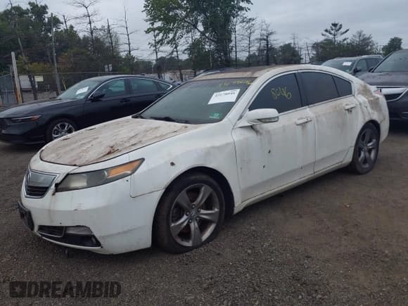 ✅ 2012 Acura TL Technology • VIN: 19UUA9F52CA001673 • Lot: 43178046. Wystawiony na IAAI z przebiegiem 201 358 mil. Bezpłatny archiwum sprzedaży aukcyjnych z USA i szczegółowy raport historii pojazdu na DreamBid. Zdjęcie 17.