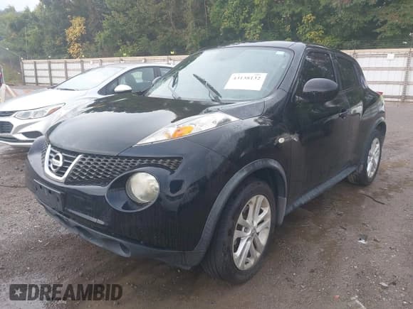✅ 2013 Nissan Juke SV • VIN: JN8AF5MR7DT203209 • Lot: 43138132. Listed on IAAI with Not provided. Free auction sales archive from the USA and detailed vehicle history report at DreamBid. Image 2.
