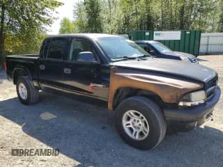 ✅ 2001 Dodge Dakota Sport • VIN: 1B7GG2AN81S113605 • Lot: 58990065. Wystawiony na Copart z przebiegiem 243 919 mil. Bezpłatny archiwum sprzedaży aukcyjnych z USA i szczegółowy raport historii pojazdu na DreamBid. Zdjęcie 4.