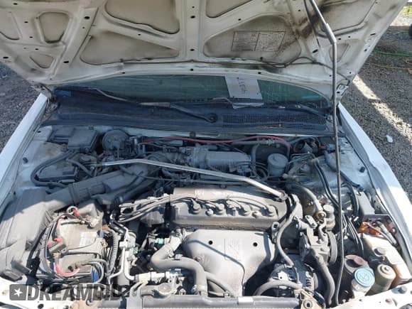 ✅ 1994 Honda Accord EX • VIN: 1HGCD5656RA085372 • Lot: 40337421. Listed on IAAI with 99,800 mi. Free auction sales archive from the USA and detailed vehicle history report at DreamBid. Image 10.