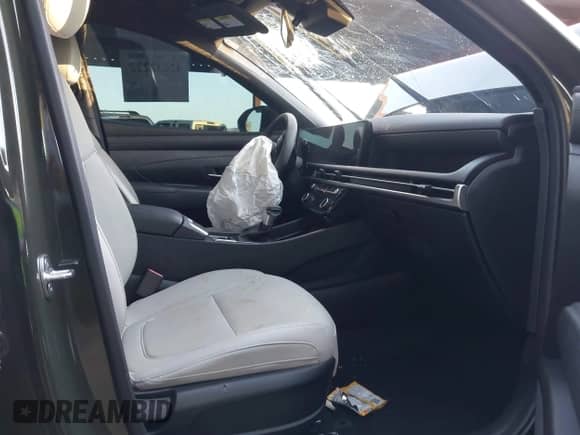 2025 Hyundai Santa Cruz SEL with VIN 5NTJBDDEXSH126921, listed as a IAAI auction lot 42632222 with 12,180 mi miles and . Bid and sale history available at DreamBid. Image 5.