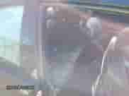 2002 BMW 3 Series M3 с VIN WBSBL93472JR13427, выставлен на аукционе IAAI как лот 40426140 с пробегом 109 006 миль миль и . История ставок и продаж доступна на DreamBid. Изображение 8.