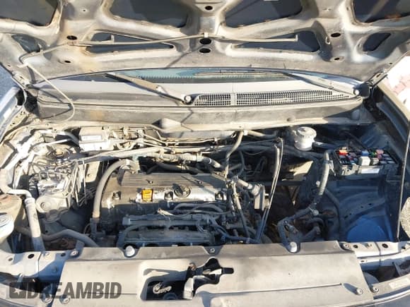 ✅ 2006 Honda Element EX-P • VIN: 5J6YH28746L008032 • Lot: 43336502. Listed on IAAI with 318,048 mi. Free auction sales archive from the USA and detailed vehicle history report at DreamBid. Image 10.