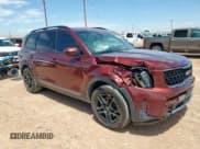 ✅ 2023 Kia Telluride SX X-Pro • VIN: 5XYP5DGC2PG355425 • Lot: 66308545. Listed on Copart with 42,501 mi. Free auction sales archive from the USA and detailed vehicle history report at DreamBid. Image 4.
