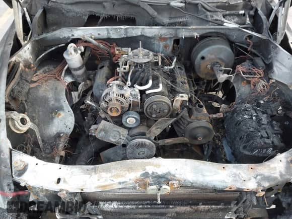 2003 Dodge Dakota SLT with VIN 1D7HL42X33S181413, listed as a IAAI auction lot 42000892 with Not provided miles and . Bid and sale history available at DreamBid. Image 10.