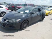 ✅ 2016 Nissan Maxima Platinum • VIN: 1N4AA6AP8GC448744 • Lot: 42830974. Listed on IAAI with Not provided. Free auction sales archive from the USA and detailed vehicle history report at DreamBid. Image 2.