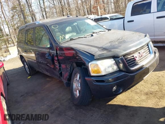 ✅ 2004 GMC Envoy SLE • VIN: 1GKES12S246191321 • Lot: 41386219. Listed on IAAI with 116,019 mi. Free auction sales archive from the USA and detailed vehicle history report at DreamBid. Image 1.