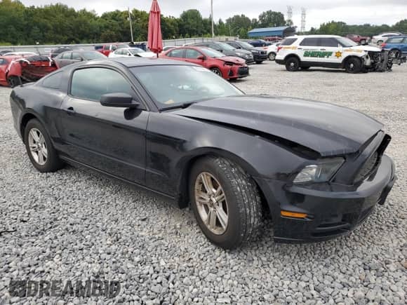 2014 Ford Mustang V6 с VIN 1ZVBP8AM8E5288250, выставлен на аукционе Copart как лот 67745805 с пробегом 135 403 миль миль и Списание • Salvage title. История ставок и продаж доступна на DreamBid. Изображение 4.