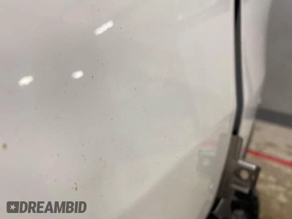 ✅ 2019 Ford Transit • VIN: 1FTYR1YMXKKA95132 • Lot: 42016925. Listed on IAAI with 123,637 mi. Free auction sales archive from the USA and detailed vehicle history report at DreamBid. Image 1.