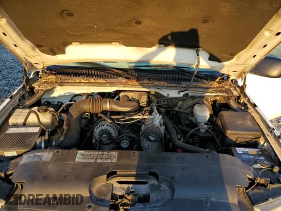 ✅ 2006 Chevrolet Silverado 1500 Work Truck • VIN: 1GCEC14X26Z119375 • Лот: 75095794. Опубликован ранее на Copart с пробегом 125 073 миль. Бесплатный доступ к архиву аукционных продаж из США и подробный отчёт об истории автомобиля на DreamBid. Изображение 11.