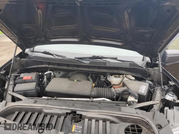 ✅ 2019 Chevrolet Silverado 1500 Custom • VIN: 1GCRYBEH0KZ402223 • Lot: 56124155. Wystawiony na Copart z przebiegiem 38 816 mil. Bezpłatny archiwum sprzedaży aukcyjnych z USA i szczegółowy raport historii pojazdu na DreamBid. Zdjęcie 11.