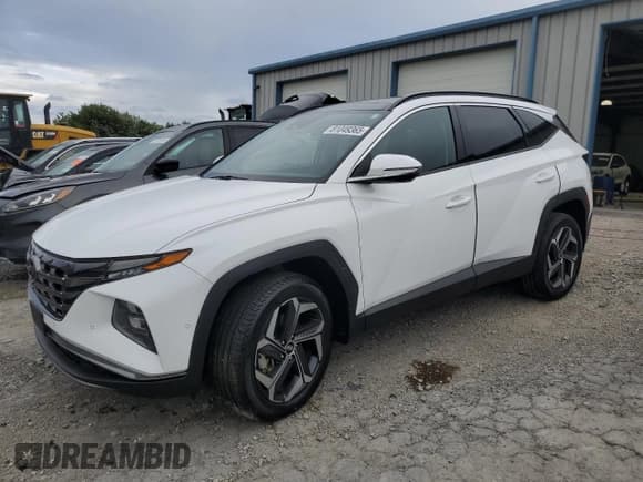 ✅ 2024 Hyundai Tucson Limited • VIN: 5NMJECDE4RH335403 • Лот: 81049365. Опубликован ранее на Copart с пробегом 26 619 миль. Бесплатный доступ к архиву аукционных продаж из США и подробный отчёт об истории автомобиля на DreamBid. Изображение 1.