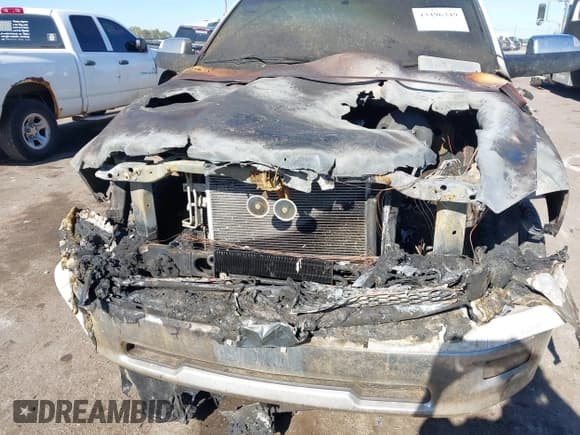 ✅ 2010 Dodge 1500 SLT • VIN: 1D7RV1CT0AS212641 • Lot: 43496349. Listed on IAAI with Not provided. Free auction sales archive from the USA and detailed vehicle history report at DreamBid. Image 6.