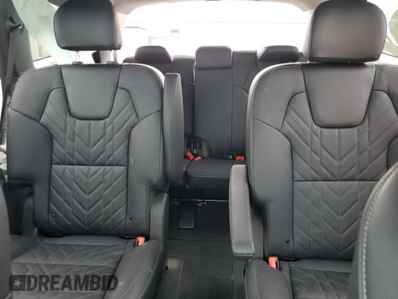 ✅ 2024 Kia Telluride SX • VIN: 5XYP5DGC6RG549023 • Lot: 81596325. Wystawiony na Copart z przebiegiem 8 059 mil. Bezpłatny archiwum sprzedaży aukcyjnych z USA i szczegółowy raport historii pojazdu na DreamBid. Zdjęcie 10.