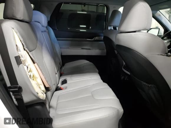 ✅ 2024 Hyundai Palisade SEL • VIN: KM8R4DGE8RU807002 • Лот: 79637154. Опубликован ранее на Copart с пробегом 3 648 миль. Бесплатный доступ к архиву аукционных продаж из США и подробный отчёт об истории автомобиля на DreamBid. Изображение 12.