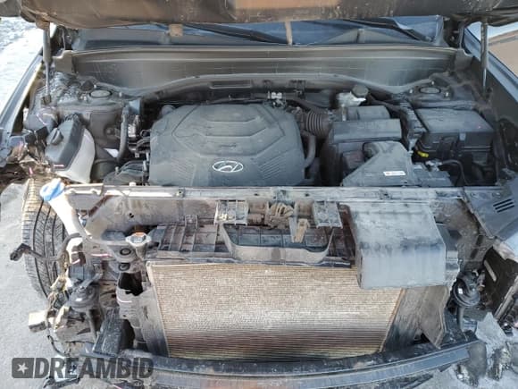 ✅ 2020 Hyundai Palisade Limited • VIN: KM8R5DHE7LU155315 • Лот: 42154535. Опубликован ранее на Copart с пробегом 69 688 миль. Бесплатный доступ к архиву аукционных продаж из США и подробный отчёт об истории автомобиля на DreamBid. Изображение 12.