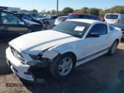 ✅ 2013 Ford Mustang V6 • VIN: 1ZVBP8AM6D5259120 • Lot: 43612614. Wystawiony na IAAI z przebiegiem 201 891 mil. Bezpłatny archiwum sprzedaży aukcyjnych z USA i szczegółowy raport historii pojazdu na DreamBid. Zdjęcie 2.