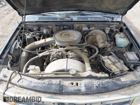 1994 Dodge Dakota with VIN 1B7GG23X9RS562415, listed as a IAAI auction lot 43365648 with 157,671 mi miles and . Bid and sale history available at DreamBid. Image 10.