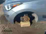 2016 Hyundai Elantra SE z VIN 5NPDH4AE9GH678092, wystawiony jako IAAI lot #43339316 z przebiegiem Nie podano mil oraz . Historia ofert i sprzedaży dostępna na DreamBid. Obrazek 17.