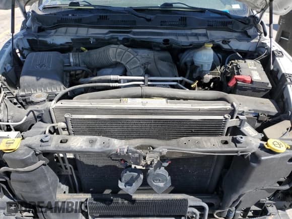 ✅ 2010 Dodge 1500 SLT • VIN: 1D7RB1CT9AS160337 • Lot: 49986505. Wystawiony na Copart z przebiegiem 198 052 mil. Bezpłatny archiwum sprzedaży aukcyjnych z USA i szczegółowy raport historii pojazdu na DreamBid. Zdjęcie 11.