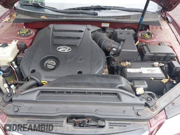 ✅ 2009 Hyundai Azera Limited • VIN: KMHFC46F79A372233 • Лот: 42522389. Опубликован ранее на IAAI с пробегом 193 783 миль. Бесплатный доступ к архиву аукционных продаж из США и подробный отчёт об истории автомобиля на DreamBid. Изображение 10.