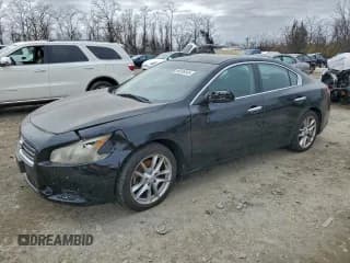 ✅ 2010 Nissan Maxima SV • VIN: 1N4AA5AP2AC855461 • Lot: 96336545. Listed on Copart with 91,918 mi. Free auction sales archive from the USA and detailed vehicle history report at DreamBid. Image 1.