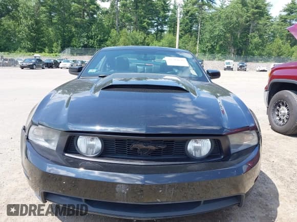 ✅ 2010 Ford Mustang GT • VIN: 1ZVBP8CH9A5169195 • Лот: 42704649. Опубликован ранее на IAAI с пробегом 142 722 миль. Бесплатный доступ к архиву аукционных продаж из США и подробный отчёт об истории автомобиля на DreamBid. Изображение 12.