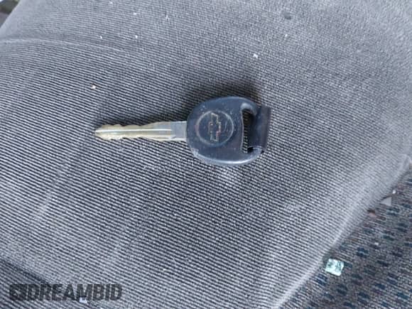 2004 Chevrolet Silverado 1500 with VIN 1GCEK19VX4Z310047, listed as a IAAI auction lot 41306245 with Not provided miles and . Bid and sale history available at DreamBid. Image 11.