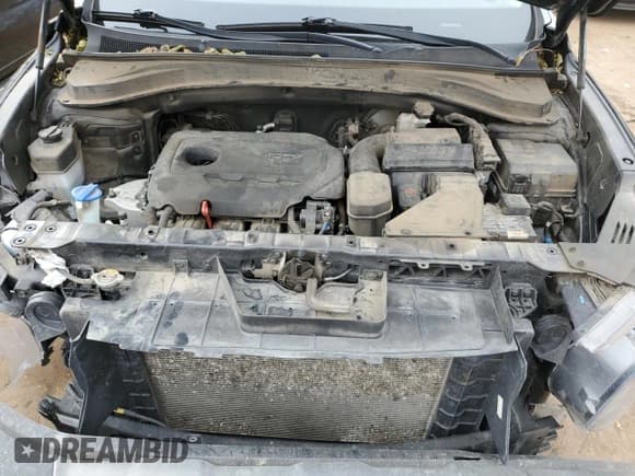 ✅ 2020 Hyundai Santa Fe SEL • VIN: 5NMS3CAD7LH222669 • Lot: 79726653. Wystawiony na Copart z przebiegiem 48 025 mil. Bezpłatny archiwum sprzedaży aukcyjnych z USA i szczegółowy raport historii pojazdu na DreamBid. Zdjęcie 11.