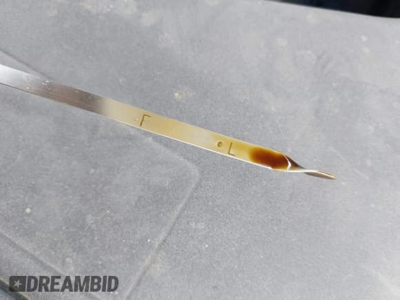 ✅ 2016 Hyundai Azera Limited • VIN: KMHFH4JG6GA569098 • Лот: 42210097. Опубликован ранее на IAAI с пробегом 126 139 миль. Бесплатный доступ к архиву аукционных продаж из США и подробный отчёт об истории автомобиля на DreamBid. Изображение 12.