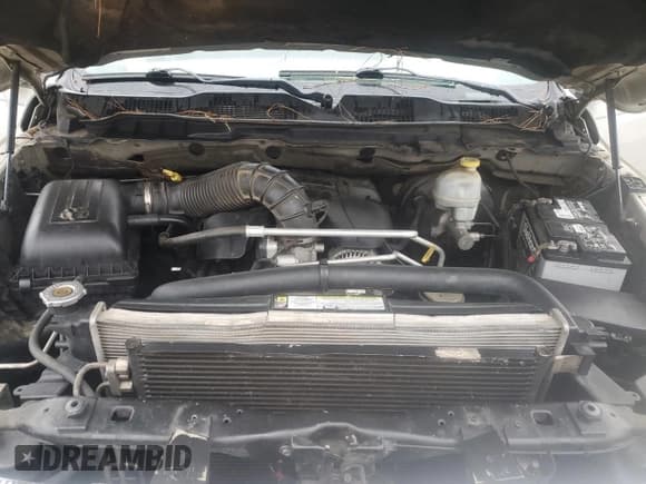 ✅ 2009 Dodge 1500 SLT • VIN: 1D3HV13T19J532453 • Lot: 44846995. Wystawiony na Copart z przebiegiem 235 792 mil. Bezpłatny archiwum sprzedaży aukcyjnych z USA i szczegółowy raport historii pojazdu na DreamBid. Zdjęcie 11.