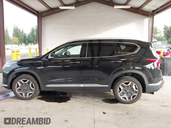 2022 Hyundai Santa Fe Limited with VIN 5NMS4DAL2NH477856, listed as a IAAI auction lot 43359399 with 46,650 mi miles and . Bid and sale history available at DreamBid. Image 15.
