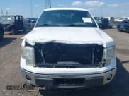 ✅ 2014 Ford F-150 XL • VIN: 1FTVX1ET8EKD34038 • Lot: 42276235. Wystawiony na IAAI z przebiegiem 299 104 mil. Bezpłatny archiwum sprzedaży aukcyjnych z USA i szczegółowy raport historii pojazdu na DreamBid. Zdjęcie 12.