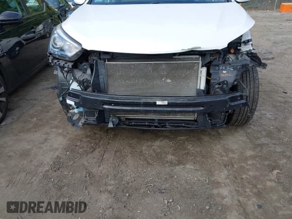 ✅ 2017 Hyundai Santa Fe 2.4L • VIN: 5NMZUDLB1HH002299 • Lot: 43256960. Listed on IAAI with 95,485 mi. Free auction sales archive from the USA and detailed vehicle history report at DreamBid. Image 6.