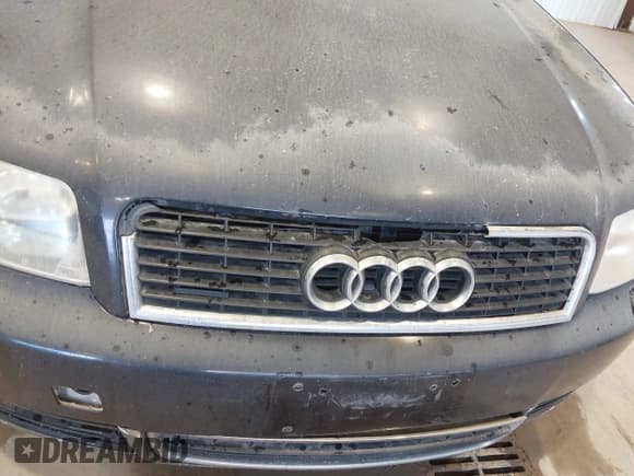 ✅ 2003 Audi A4 3.0L • VIN: WAULT68E73A214261 • Lot: 42078401. Wystawiony na IAAI z przebiegiem 279 424 mil. Bezpłatny archiwum sprzedaży aukcyjnych z USA i szczegółowy raport historii pojazdu na DreamBid. Zdjęcie 6.