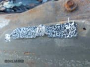 ✅ 2008 Chevrolet Silverado 3500HD • VIN: 1GCHC396X8E148691 • Lot: 41600724. Listed on IAAI with Not provided. Free auction sales archive from the USA and detailed vehicle history report at DreamBid. Image 9.