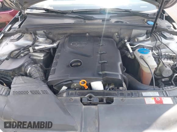 ✅ 2009 Audi A4 Premium • VIN: WAUJF78K19N066782 • Lot: 42757809. Wystawiony na IAAI z przebiegiem 151 947 mil. Bezpłatny archiwum sprzedaży aukcyjnych z USA i szczegółowy raport historii pojazdu na DreamBid. Zdjęcie 10.