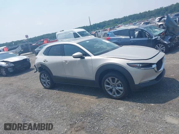 ✅ 2024 Mazda CX-30 S Premium • VIN: 3MVDMBDM9RM675269 • Lot: 42896036. Wystawiony na IAAI z przebiegiem 18 643 mil. Bezpłatny archiwum sprzedaży aukcyjnych z USA i szczegółowy raport historii pojazdu na DreamBid. Zdjęcie 13.