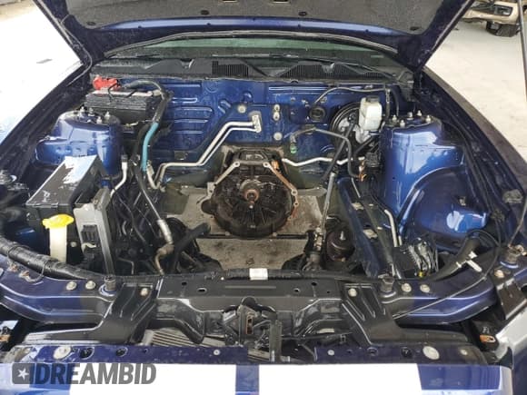 ✅ 2010 Ford Mustang GT500 • VIN: 1ZVBP8JSXA5160889 • Лот: 69408854. Опубликован ранее на Copart с пробегом 64 588 миль. Бесплатный доступ к архиву аукционных продаж из США и подробный отчёт об истории автомобиля на DreamBid. Изображение 11.