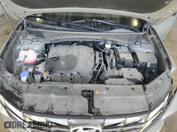 ✅ 2024 Hyundai Tucson SEL • VIN: 5NMJB3DE1RH408378 • Lot: 92201845. Wystawiony na Copart z przebiegiem 43 834 mil. Bezpłatny archiwum sprzedaży aukcyjnych z USA i szczegółowy raport historii pojazdu na DreamBid. Zdjęcie 11.