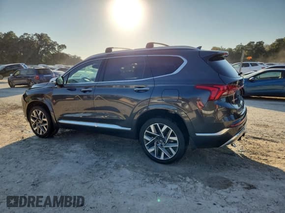 ✅ 2023 Hyundai Santa Fe Calligraphy • VIN: 5NMS5DAL6PH643943 • Lot: 93630025. Listed on Copart with 33,221 mi. Free auction sales archive from the USA and detailed vehicle history report at DreamBid. Image 2.